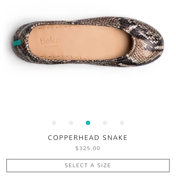 Tieks Snakeskin Ballet Flats size 8 good condition see pictures - Picture 2 of 5